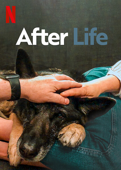 مسلسل After Life الموسم الثالث الحلقة 1