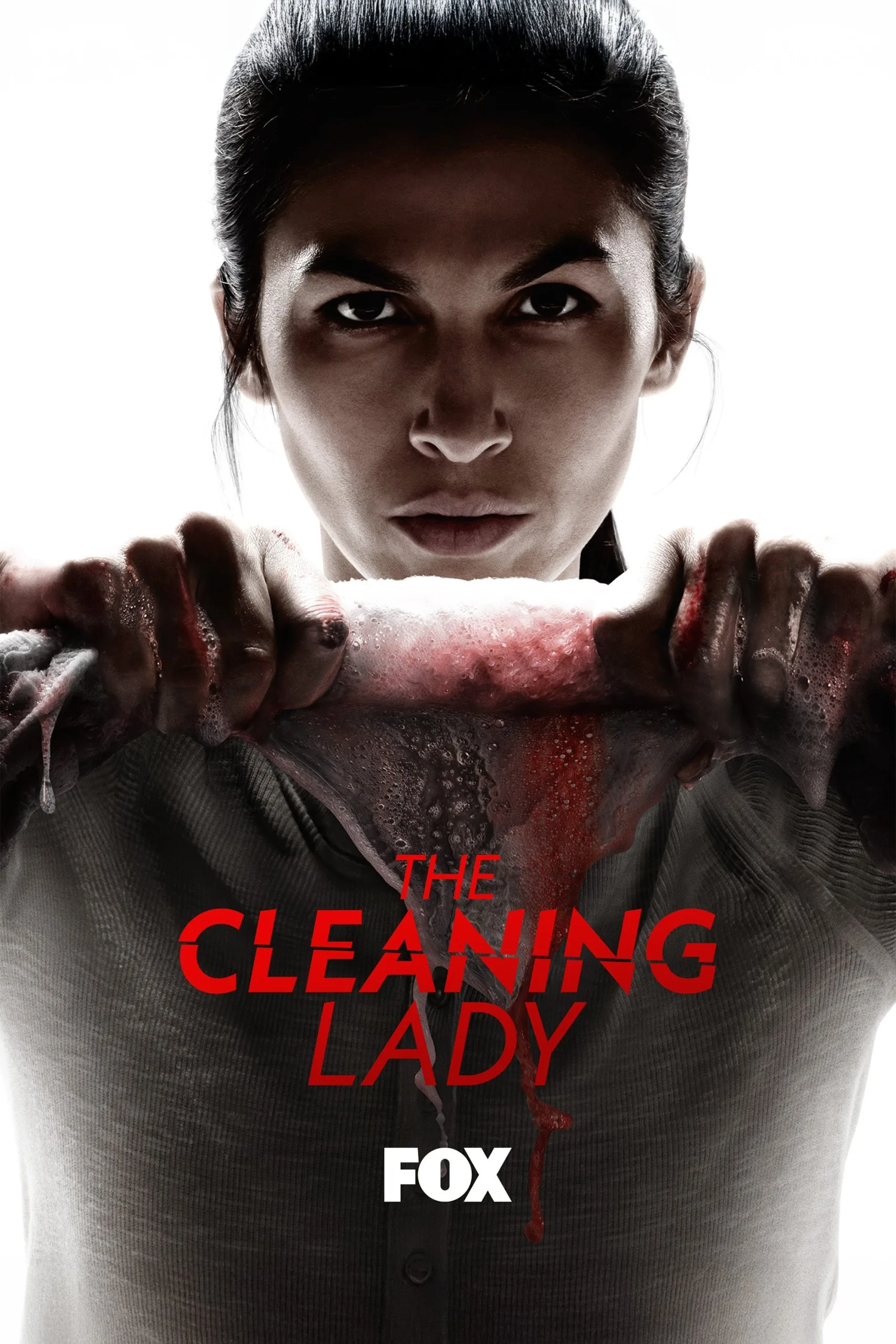 مسلسل The Cleaning Lady الموسم الرابع الحلقة 2